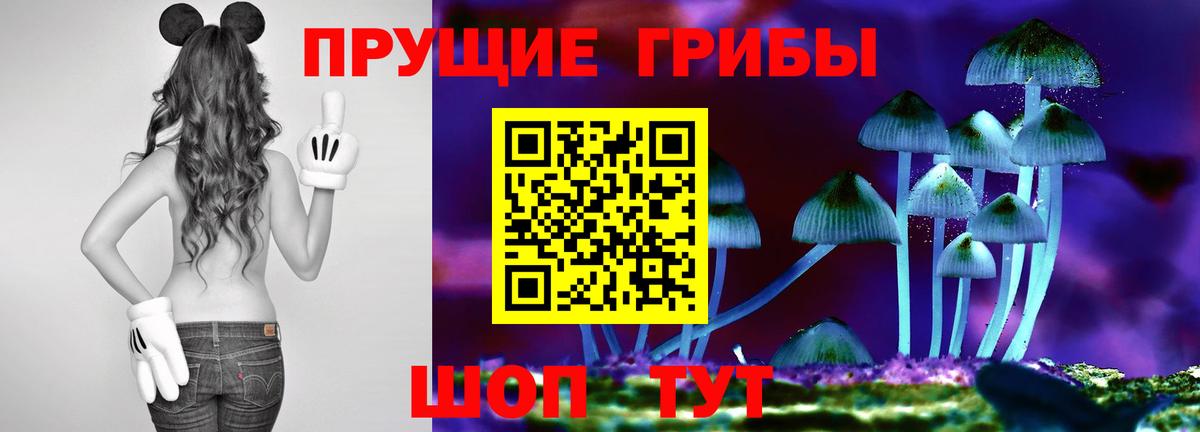 Зима  Галлюциногенные грибы Psilocybe  Вход с VPN 