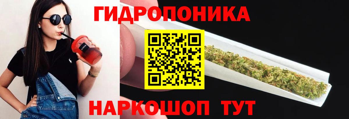 Канабис планчик Зима